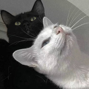 jiizz日本老师高潮喷水18
